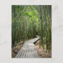 Zoek naar haleakala briefkaarten Haleakala nationaal park