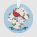Recherche de canard en plastique ornements Oiseaux