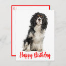 Zoek naar cavalier king charles spaniel puppy posters Hondenliefhebber