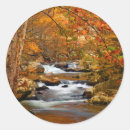 Recherche de great smoky mountains autocollants Forêt