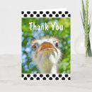 Zoek naar grappige struisvogel kaarten Dier