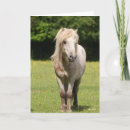 Zoek naar shetland pony kaarten Bob langrish