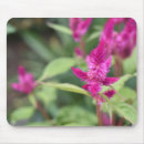 Zoek naar roze bloemen muismatten Groen
