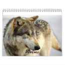 Recherche de loups calendriers Sauvage
