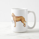 Recherche de chessie tasses Chesapeake