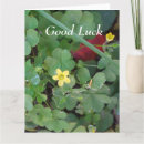 Zoek naar klaver kaarten Natuur