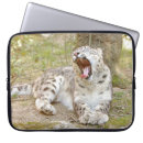 Recherche de preppies coques Mignon