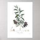 Recherche de jardin olive art Pour tous