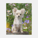 Recherche de chien chiwawa couvertures plaids Mignon