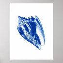 Zoek naar shells posters Indigo