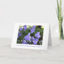 Zoek naar klokbloemen kaarten Campanula
