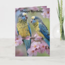 Zoek naar paarse vogel kaarten Papegaai