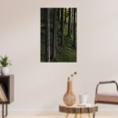 Zoek naar groene posters Landschap