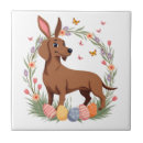 Recherche de lapin pâques de carreaux Animal