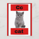 Zoek naar katten afbeeldingen kaarten For kids
