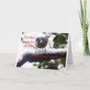 Recherche de passe temps vœux cartes Humour