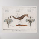 Recherche de zoologie vintage posters Zoologique
