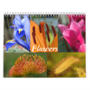 Recherche de fleurs calendriers Jardin