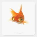 Recherche de parties du corps autocollants Apparence