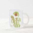 Recherche de plantes carnivores tasses Plante carnivore