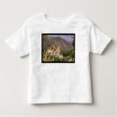 Recherche de st martin tshirts Français