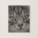 Recherche de visages puzzles Chat