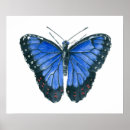 Zoek naar morpho vlinder posters Blauw
