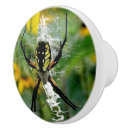 Recherche de araignée boutons et poignées de porte Toile d'araignée