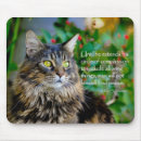 Recherche de la citation inspirée tapis souris Toute personne