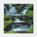Recherche de duc magnets Environnement