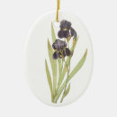 Recherche de iris ornements Blanc
