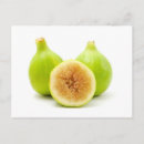 Recherche de figuier cartes postales Blanc