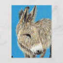 Recherche de âne cartes postales Animal de ferme