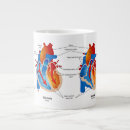 Recherche de coeur anatomique tasses Cardiologie