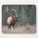 Recherche de adult mousepads Grand