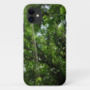 Recherche de jungles photographie Nature