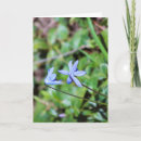 Recherche de poèmes vœux cartes Salutation