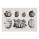 Recherche de vintage nourriture posters Cuisine