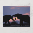 Recherche de chobe cartes postales Tronc