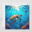 Zoek naar het aquatische leven Zeeen schildpad