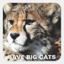 Recherche de grandes oreilles autocollants Singe