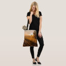Recherche de arbres brumeux Lever