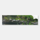 Recherche de tortue verte voiture autocollants Nature