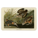 Recherche de mineur magnets Oiseau