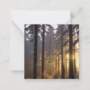 Recherche de paisible correspondances cartes Forêt