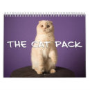 Recherche de de chat calendriers Sphynx