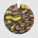 Zoek naar dinosaurus ornamenten Fossiel