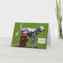 Recherche de dalmate vœux cartes Chien
