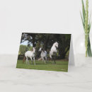 Recherche de andalousie vœux cartes Bob langrish