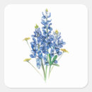 Recherche de lupins autocollants Fleurs sauvages